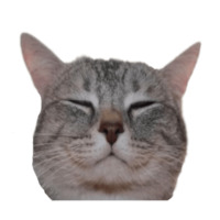 Котейки