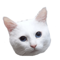 Котейки