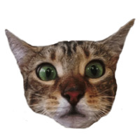 Котейки