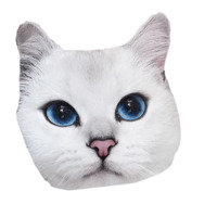Котейки
