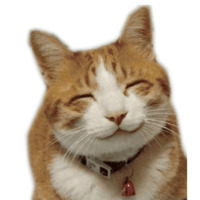 Котейчики