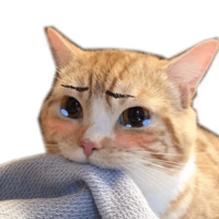 Котейчики