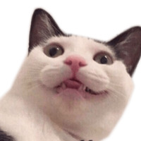 Котейчики