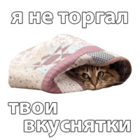 Котичи