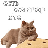 Котичи