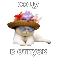 Котичи