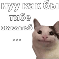 Котичи