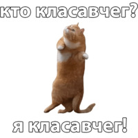 Котичи