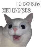 Котичи