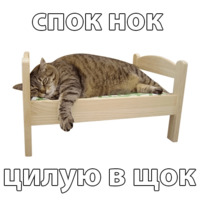 Котичи