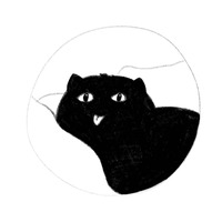 Коты