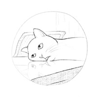 Коты