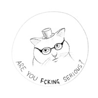 Коты
