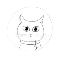 Коты