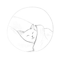 Коты