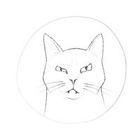 Коты