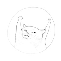 Коты