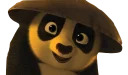 Kung fu panda