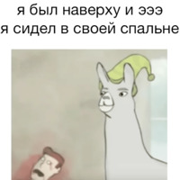 Ламы в шляпах