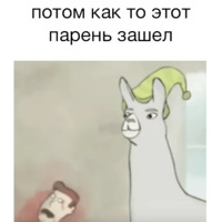 Ламы в шляпах