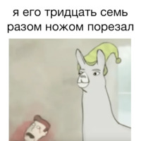 Ламы в шляпах