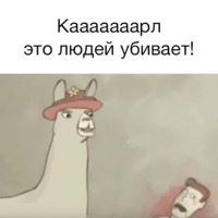 Ламы в шляпах