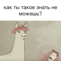 Ламы в шляпах