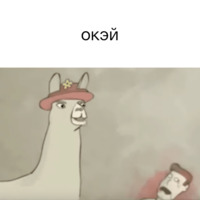 Ламы в шляпах