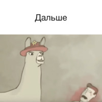 Ламы в шляпах