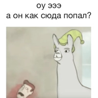 Ламы в шляпах