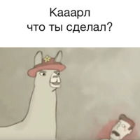 Ламы в шляпах
