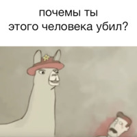Ламы в шляпах