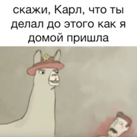 Ламы в шляпах