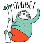 Ленивец