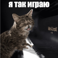 Котик Лил