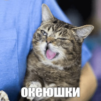 Котик Лил