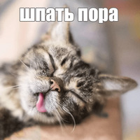 Котик Лил