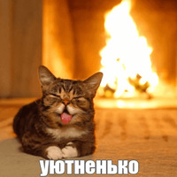 Котик Лил