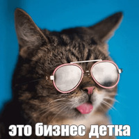 Котик Лил