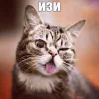 Котик Лил