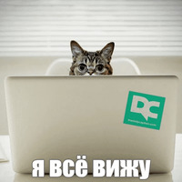 Котик Лил
