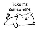 Cat lying down  @SeanChannel