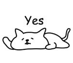 Cat lying down  @SeanChannel