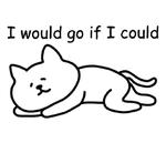 Cat lying down  @SeanChannel