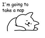 Cat lying down  @SeanChannel
