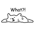Cat lying down  @SeanChannel