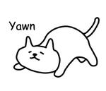 Cat lying down  @SeanChannel