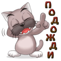 Кот Ромео