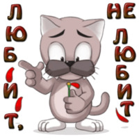 Кот Ромео