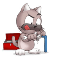 Кот Ромео